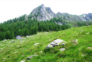 Alpe_Piempo